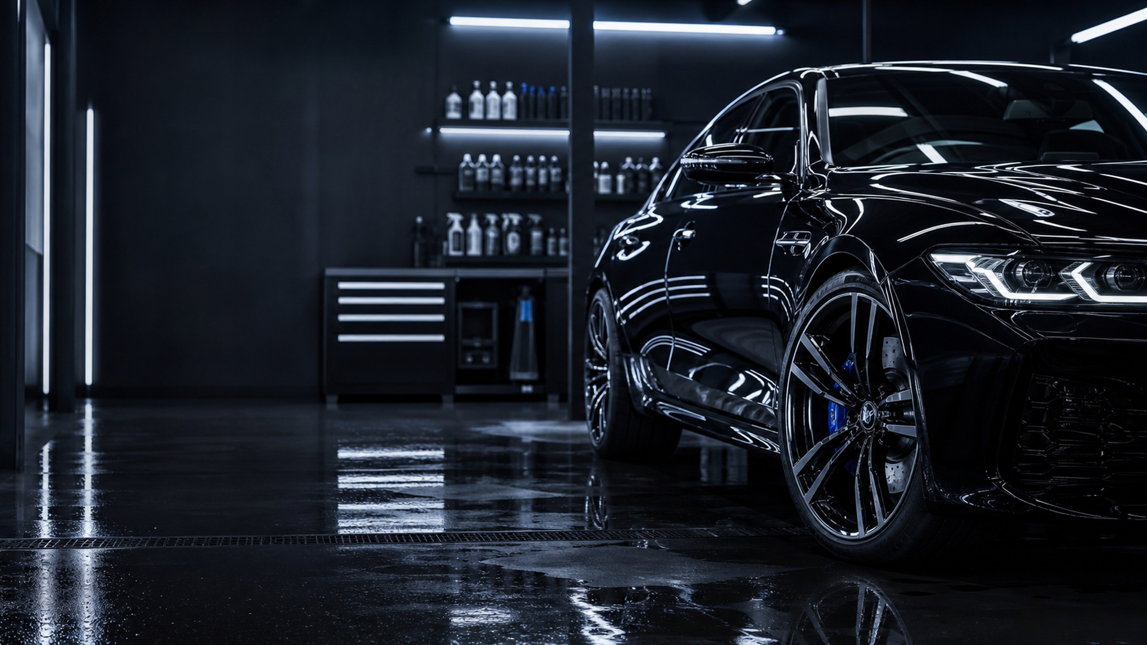 Professional car detailing website demo preview